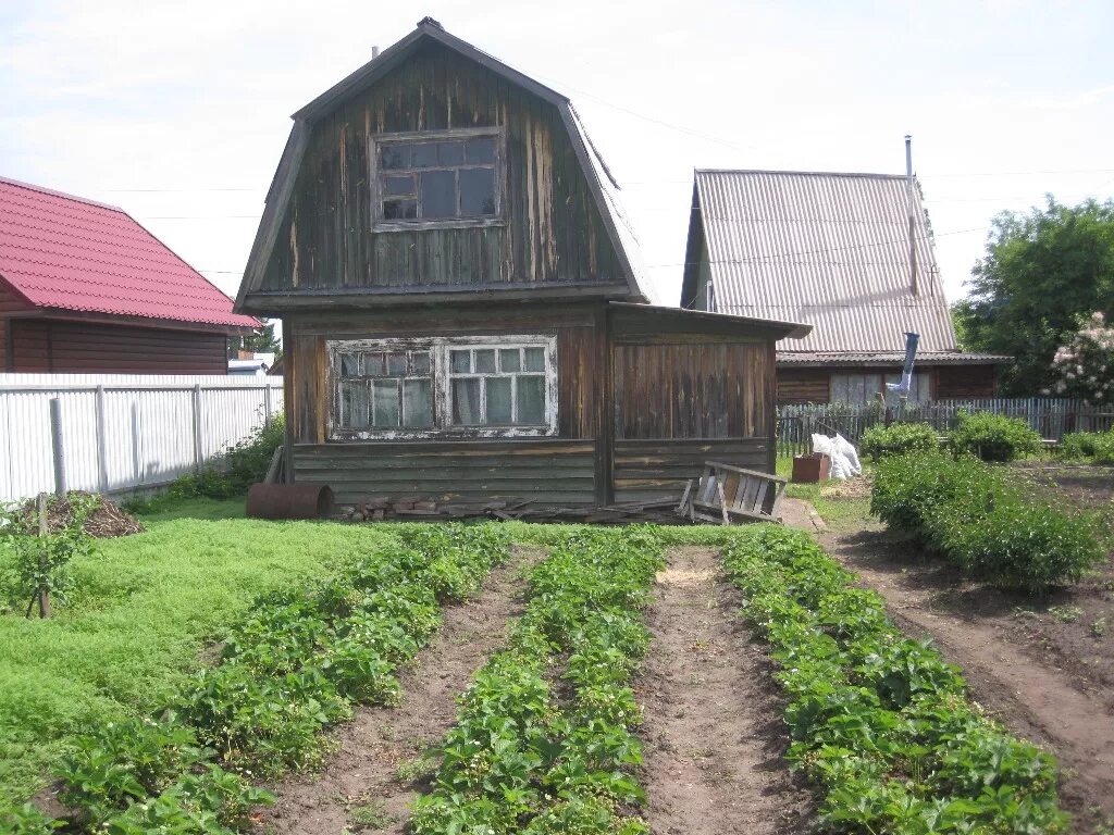 Садовое общество купить. Дача в Ордынке Новосибирская область. Садовое общество Мичуринец. СНТ Мичуринец Новосибирск. Дачи в Ордынском свежие.