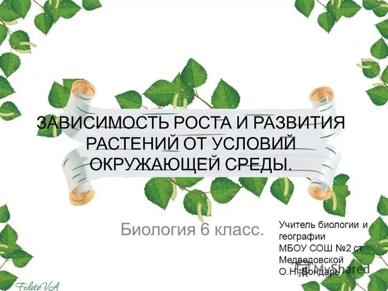 Зависимость роста и развития растений от условий среды. Зависимость роста растения от условий окружающей среды. Зависимость роста и развития растений от условий среды обитания. Факторы роста и развития растений.