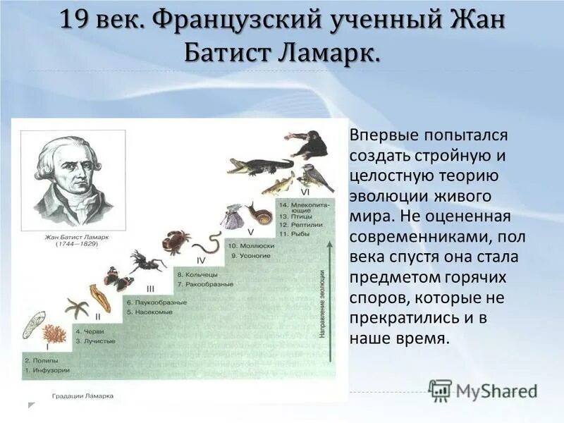 Выберите верные утверждения первыми живыми организмами