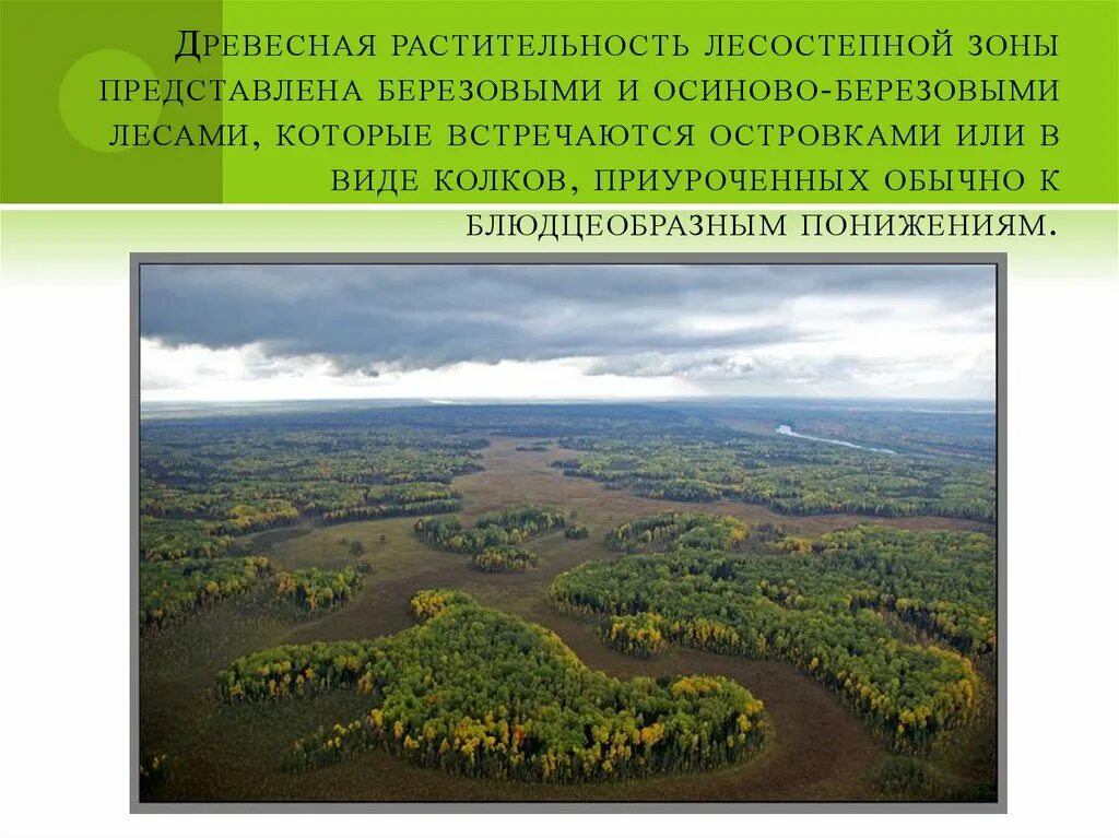Природный комплекс западный сибирь. Природный комплекс западный сибирь. Природные комплексы западно сибирской низменности. Западно сибирская равнина природные зоны география 8 класс. Природные зоны западной сибири карта.