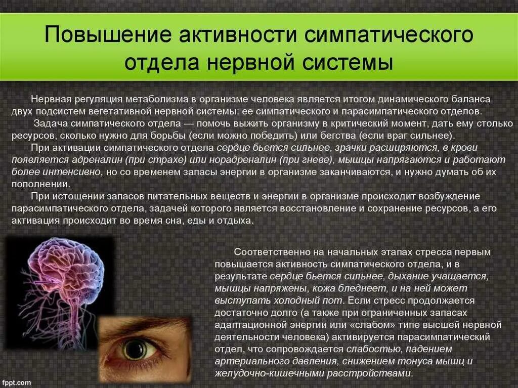 Расстройство вегетативной нервной системы у человека приводит. Нервные заболевания. Расстройство нервной системы. Активность симпатической нервной системы. Повышенная активность симпатической нервной системы симптомы.