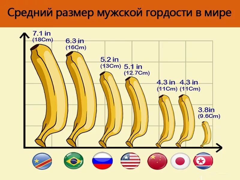 Какой самый большой ответ. Среднестатистический размер члена. Среднестатистический размер пениса. Средний размер мужского достоинства. Среднестатистический размер мужского полового члена.