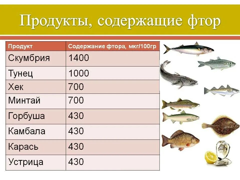 Продукты с фтором. Продукты содержащие фтор. Содержание фтора в продуктах. В каких продуктах содержится фтор. Продукты с высоким содержанием фтора.