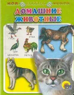 Домашние животные читать