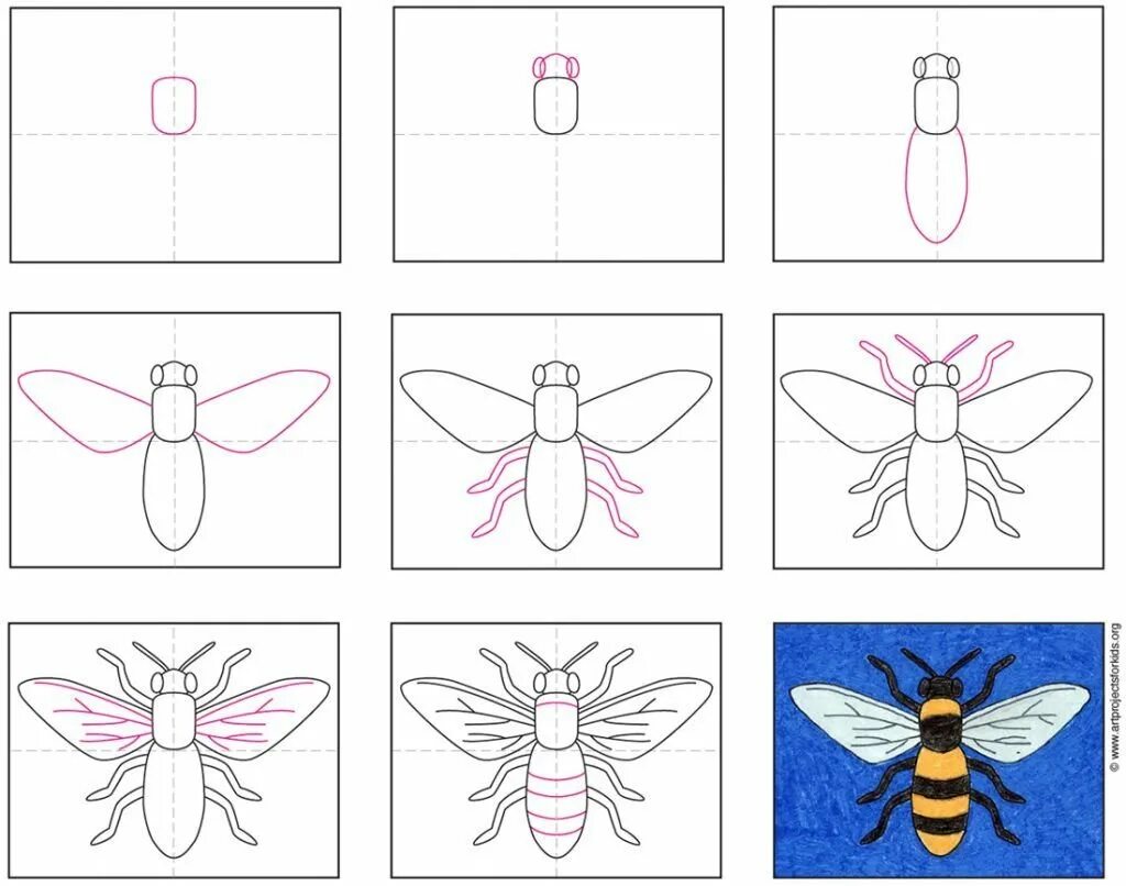 Рисование насекомые старшая. Рисование насекомые. Поэтапное рисование насекомых. Насекомые для дошкольников. Поэтапное рисование насекомых для детей.