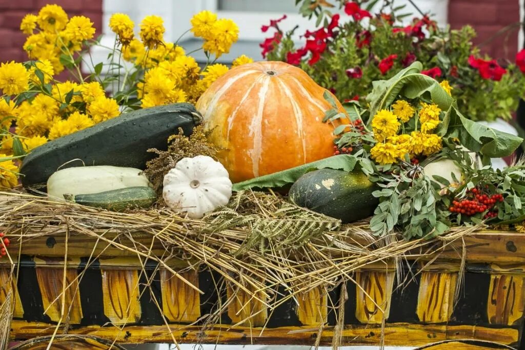 снт урожай нижний новгород канавинский район. угличская ярмарке урожая. улица краснодонцев 17 нижний новгород. сады"урожай"сормовский район. снт урожай нижний новгород канавинский район.