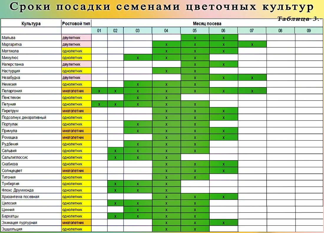 Календарь посадки овощей на 2024 год. Календарь посадки цветов на рассаду. Сроки посева семян на рассаду. Сроки высадки семян на рассаду. Рассада однолетних цветов.