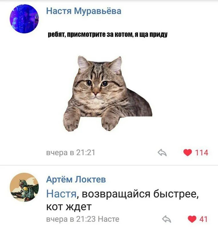 Кот жди загрузки. Последи за котом. присмотри за котом. присмотрите за котом мем. ребят присмотрите за котом.