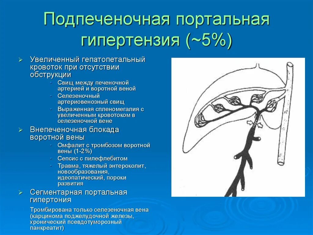 Портальная гипертензия селезеночная Вена. Надпеченочная портальная гипертензия. Кровлток гепатлпетальный воротная Вена. Пресинусоидальная портальная гипертензия. Тромбоз вены печени