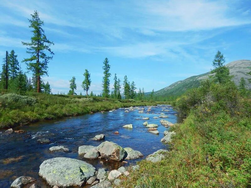 Байкало-ленский заповедник исток лены. Исток реки лены. Река лена исток. Река лена в иркутской области исток. Байкало-ленский заповедник исток реки лены.