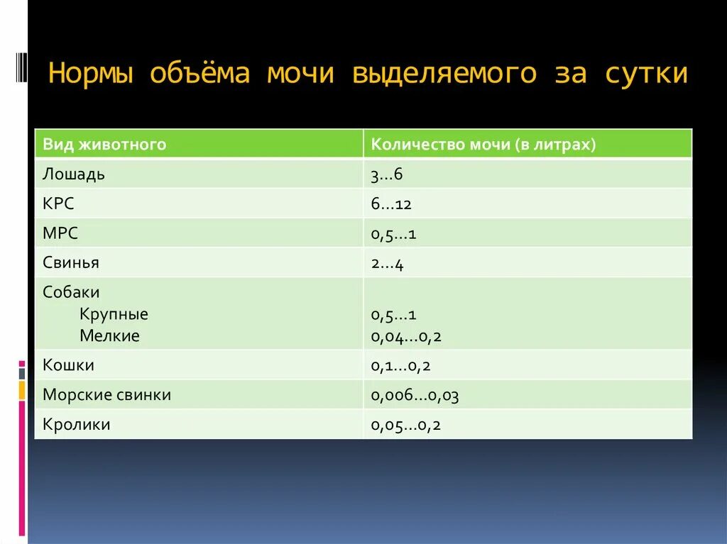 Сколько мочи в организме