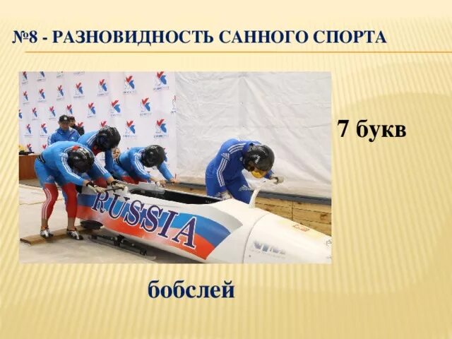Перечень олимпийских видов спорта. Названия спорта 7 букв. Виды спорта. Зимние виды спорта. Зимние олимпийские виды спорта.