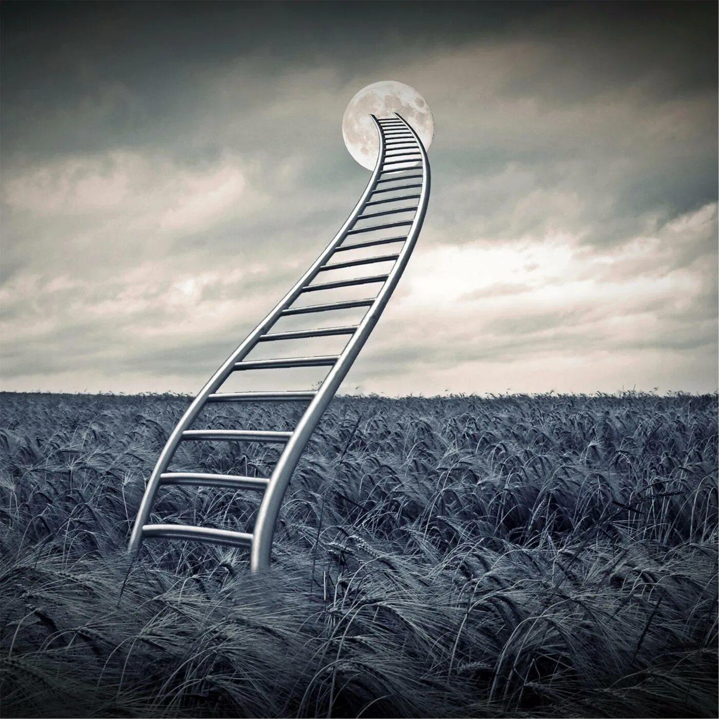 Korn see you on the other side обложка. I am on the other side. I am on the other side. I am on the other side. I see you on the other side текст.