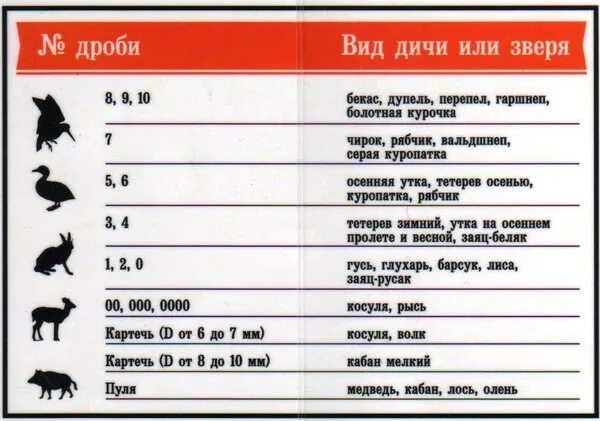 Кал дробей. Размер дроби в патронах 12 калибра. Патроны 12 калибра для охоты номер дроби. Таблица патронов 12 калибра для охоты на дичь. Таблица дроби на дичь 12 калибра.