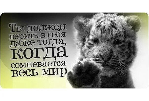 Ты должен верить. Ты должен верить. Предназначение в жизни. Перемены в жизни. Ты должен верить.