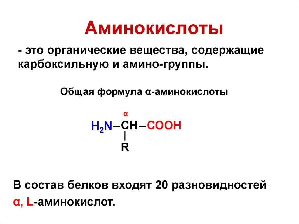 Амины группы б. Аминокислоты белки формула. Химическая формула аминокислоты. Функции Альфа аминокислот. Общая формула аминокислот.