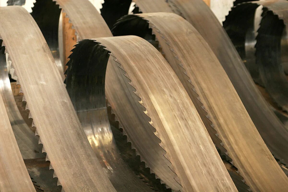 Ленточная пила Bandsaw Blades. Ленточное полотно по дереву для пилорамы. Полотно для ленточной пилы. Полотно для ленточной пилы по дереву. Пильные полотна для ленточных пил