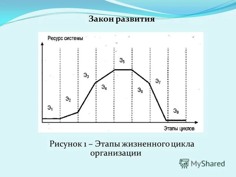 Жизненный цикл спроса