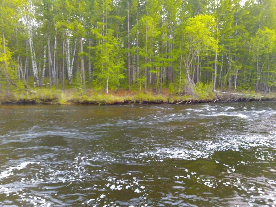 Природа эвенкии. Бичура река. Река чита сейчас. Водные объекты забайкальского края. Пограничная река аргунь.