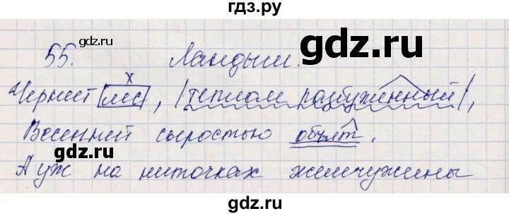 Математика 4 класс страница 55 упражнение 18. Упражнения 71 по русскому языку 1 класс. Рабочая тетрадь 2 класс страница 55 упражнение 13. Русский язык тетрадь 1 класс стр 55. Русский язык 1 класс рабочая тетрадь стр 55.