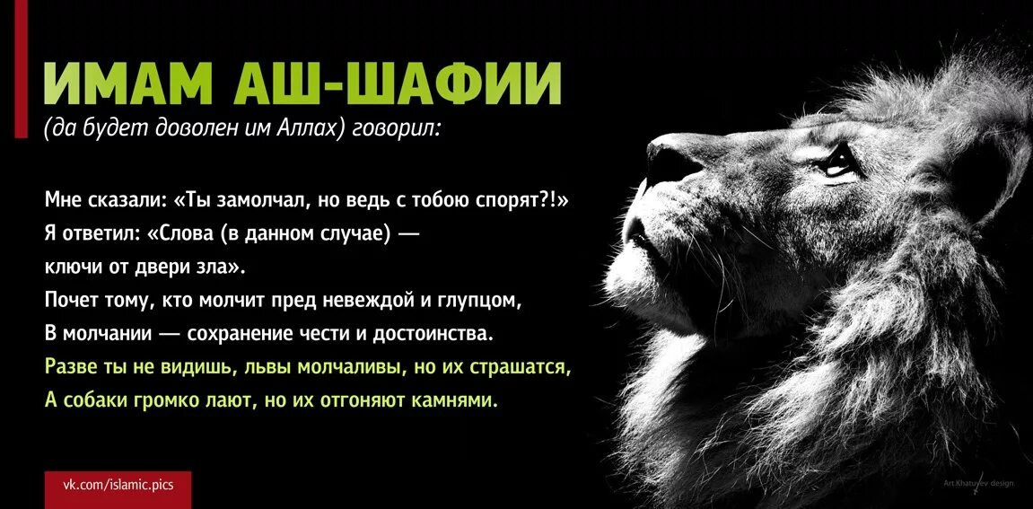 Что за тигр этот лев фраза. Высказывания имама Шафии. Лев Аллаха. Имам аш-Шафии. Высказывания про Льва.