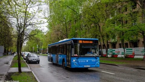Автобус 725 от кузьминского парка