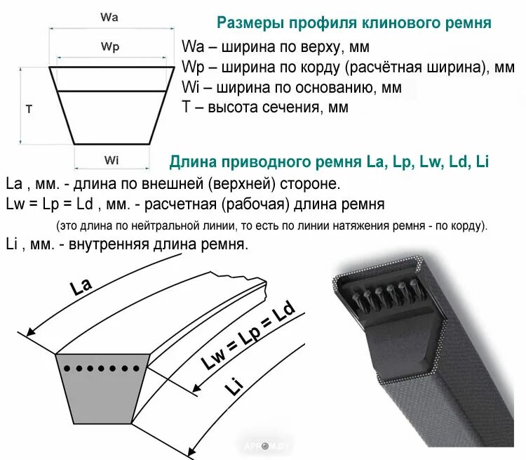 Что означает ремень