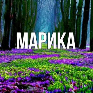 Мир марики