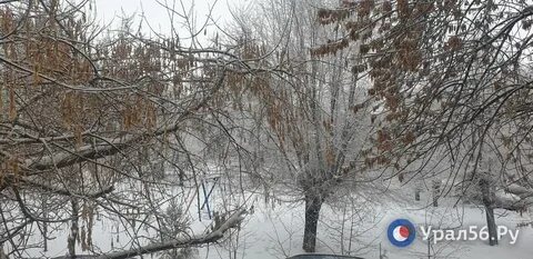 Погода в орске на ноябрь