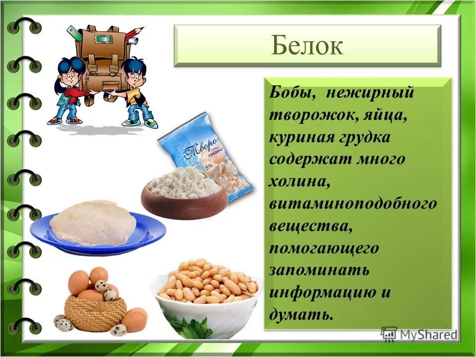 растительные белки. фасоль, горох, нут, чечевица. бобовые. зерново бобовые культуры. фасоль чечевица нут.