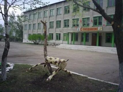Цветы красный гуляй