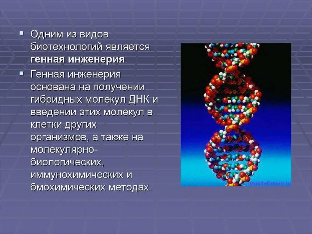 Генная инженерия создает. Генная инженерия. биотехнология и генная инженерия. генная инженерия презентация. генетическая инженерия презентация.