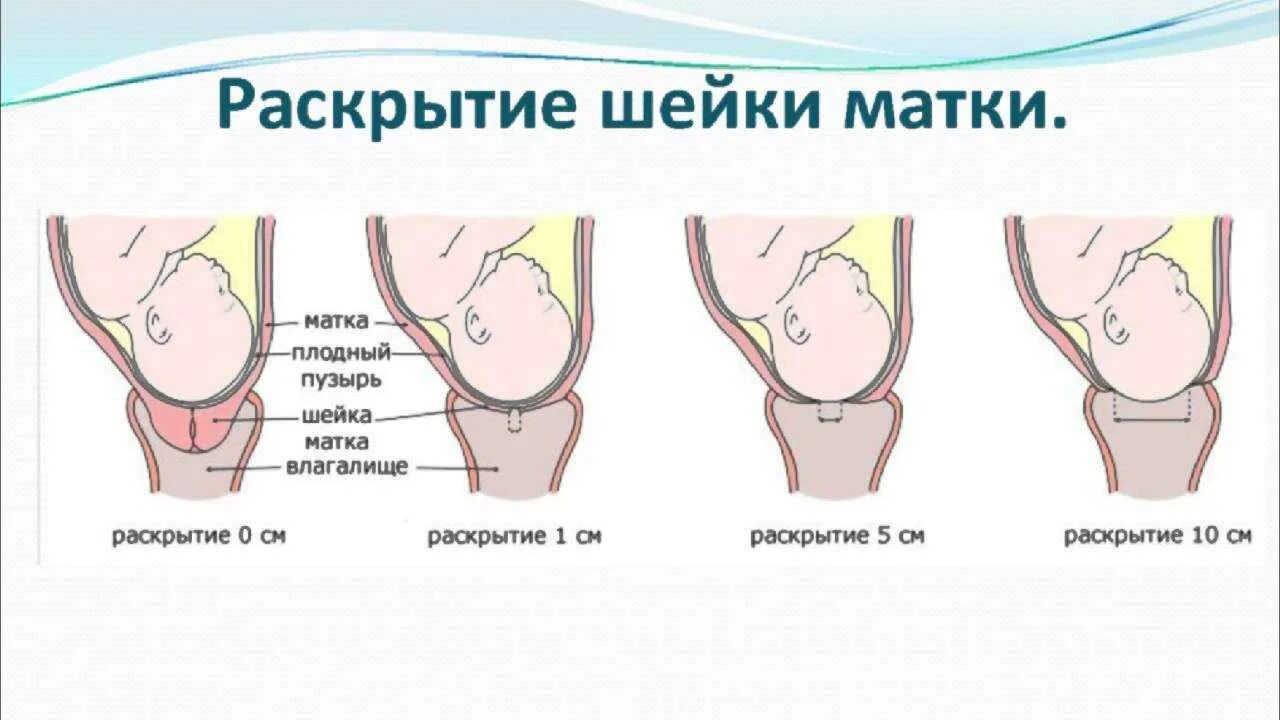 Через сколько откроется