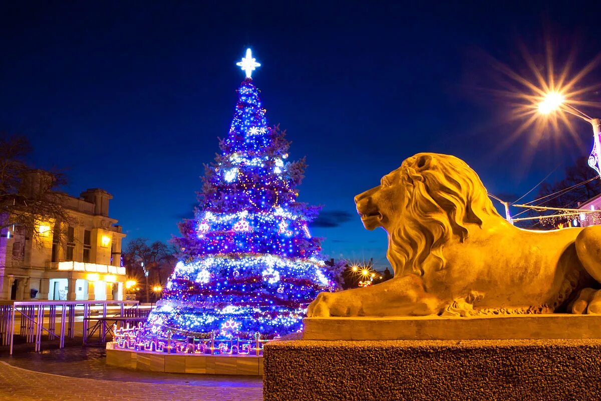 евпатория елка 2022. новогодняя евпатория. новогодняя ночь в евпатории. центральная елка евпатории. новогодняя ночь в евпатории.