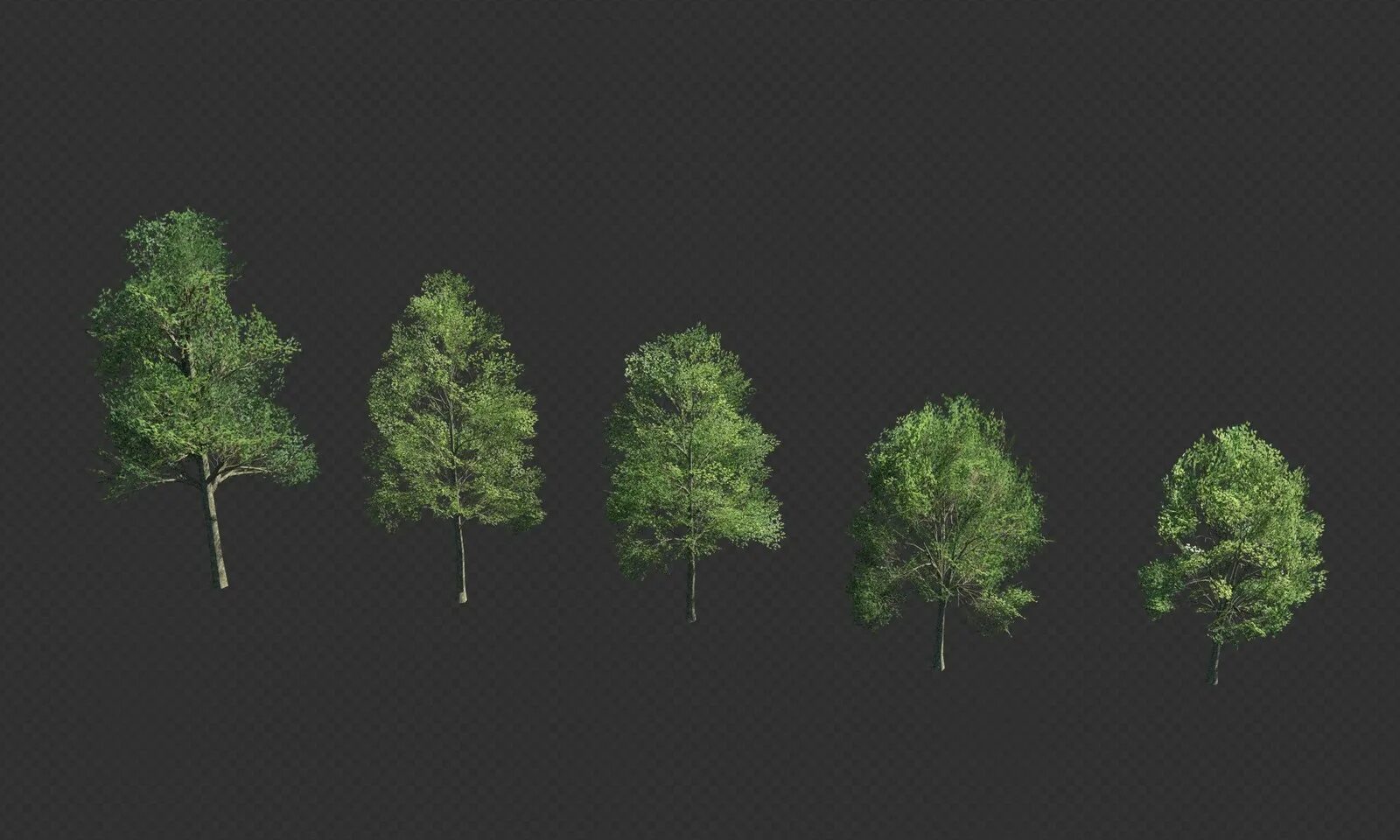 Деревья ревит. Реалистичное Low Poly дерево. Low Poly кустик. Фон для проекта с деревьями реалистичный. Blender библиотеки деревья.