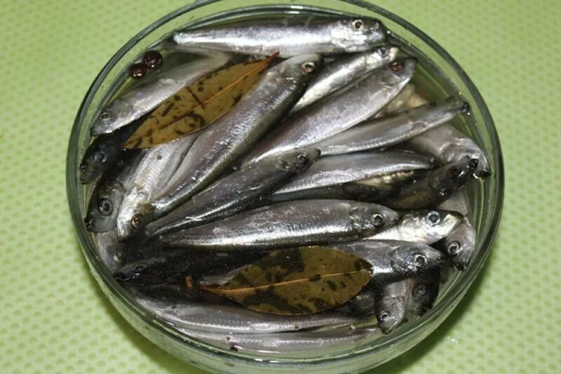 Консервы рыбные: иваси и сельдь. Сельдь в тузлуке. Мариновать иваси. Сардина (иваси). Иваси рыба.