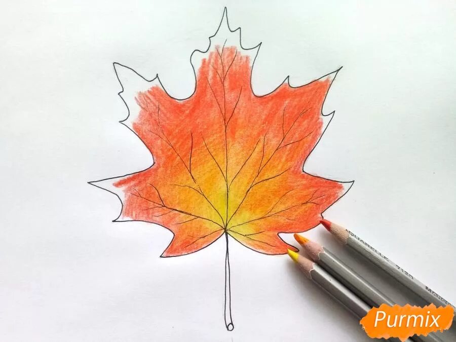 Кленовый лист цветными карандашами. Кленовый лист рисунок. Рисование кленового листа. Рисование листьев.