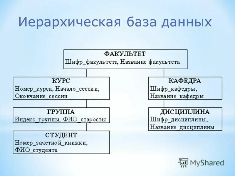 Типы организации данных в базе данных. В иерархической базе данных ответ. Иерархическая бд пример. Этапы развития субд иерархические базы данных. Структура базы данных иерархии.