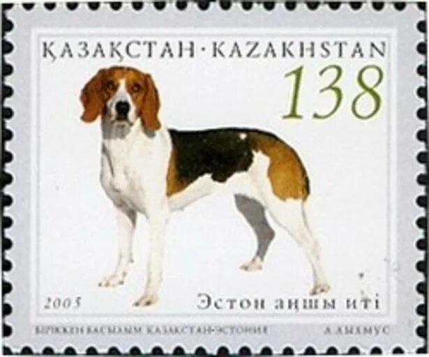 30 лет собаки. Марки охотничьих собак. Почтовая марка с собаками гончая. Марка с эстонской гончей. Почтовая марка собака Бигль.