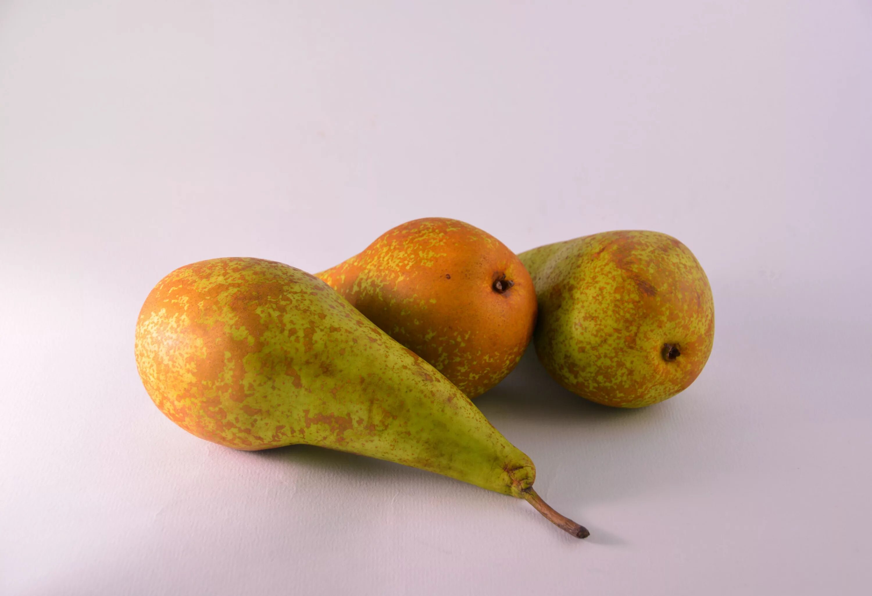 Pear 6. Груша. Груша фрукт. Груша конференция. Сочная груша.