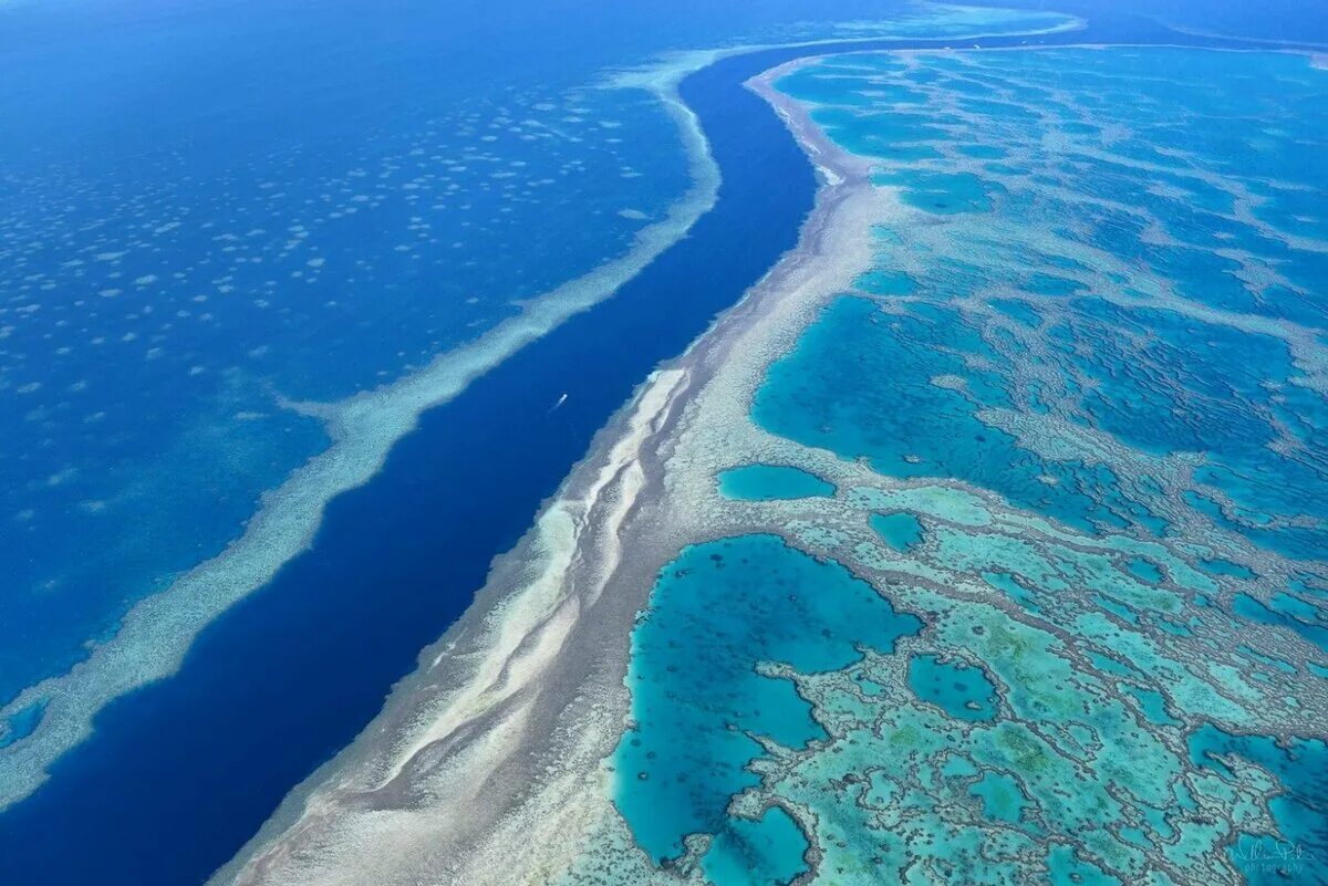 Большие острова атлантического океана. Большой Барьерный риф. Великий Барьерный риф Австралия. Коралловый Барьерный риф в Австралии. Большой Барьерный риф (самый большой в мире коралловый риф).