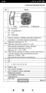 Соч по естествознанию 6 класс