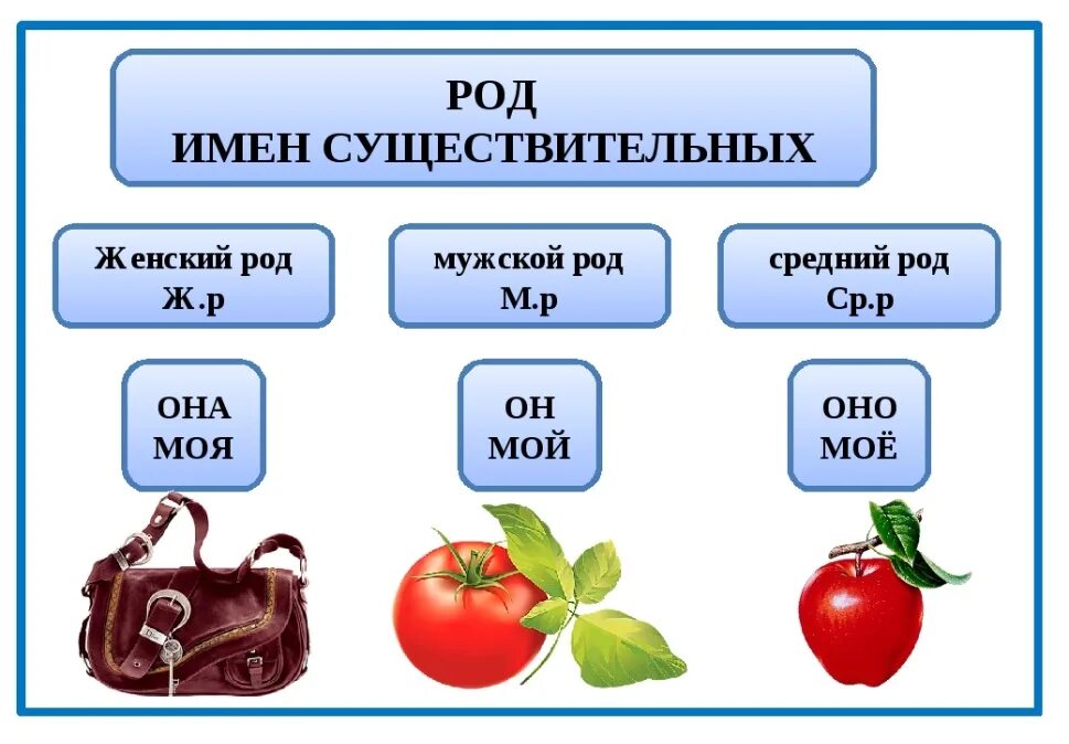 Русский язык существительное бывают. Имени существительного мужского рода, женского рода, среднего рода.. Как определить род у существительных. Имя существительное 3 класс женского рода мужского рода среднего рода. Таблица родов имен существительных.