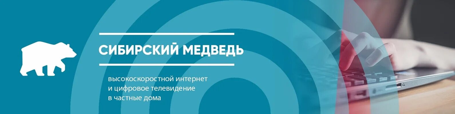 Сибирский медведь интернет. Интернет-провайдер Сибирский медведь. Сибирский медведь Новороссийск интернет. Сибирский медведь | интернет и цифровое ТВ В частный....