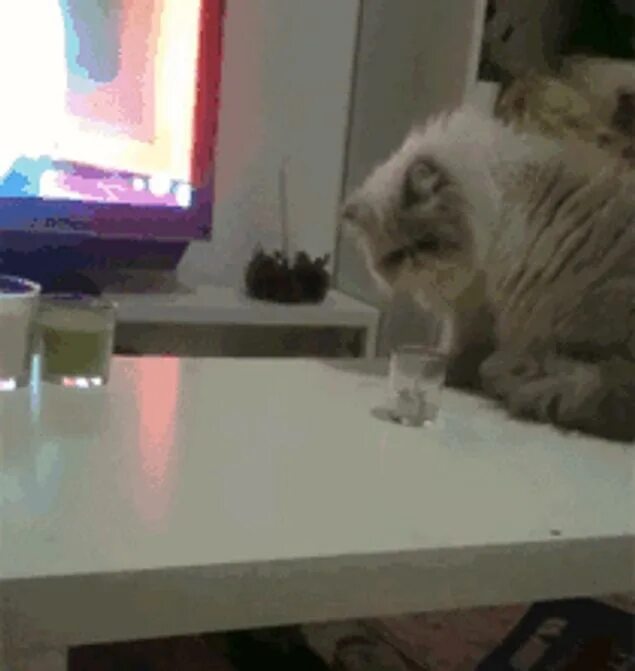 Кот сбрасывает со стола. Кот скидывает со стола. Кот смахивает со стола. Кот уронил со стола. Кошка сбросила с конструкции один кубик