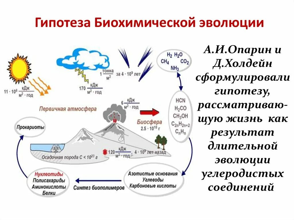 Возникновение жизни на земле по теории Опарина. Гипотеза возникновения жизни на земле Опарина. Биохимическая гипотеза Опарина. Теория биохимической эволюции (теория Опарина-Холдейна). В первичной атмосфере отсутствовал