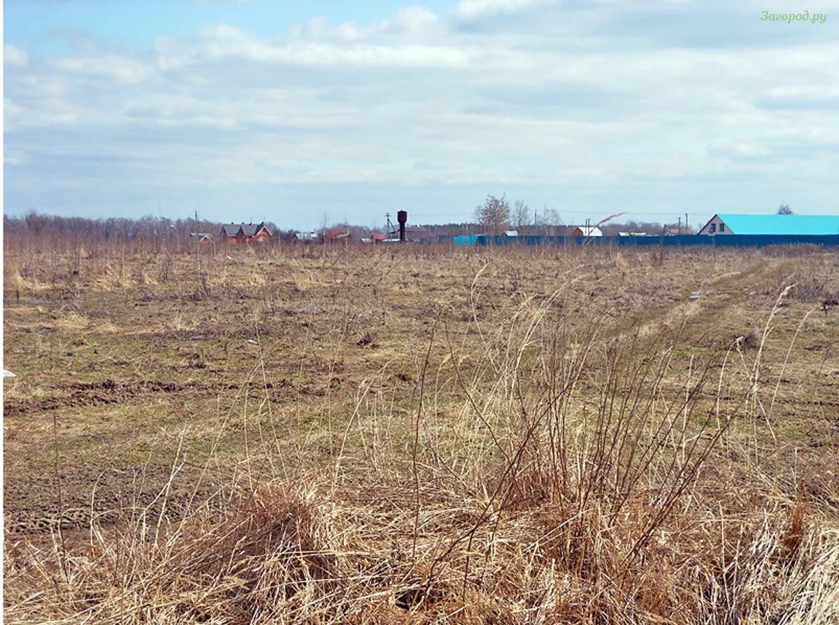 Кп кутузовские холмы 133. Погода в тяжино. X-fit заречная ул. Погода в тяжино. Погода в тяжино.