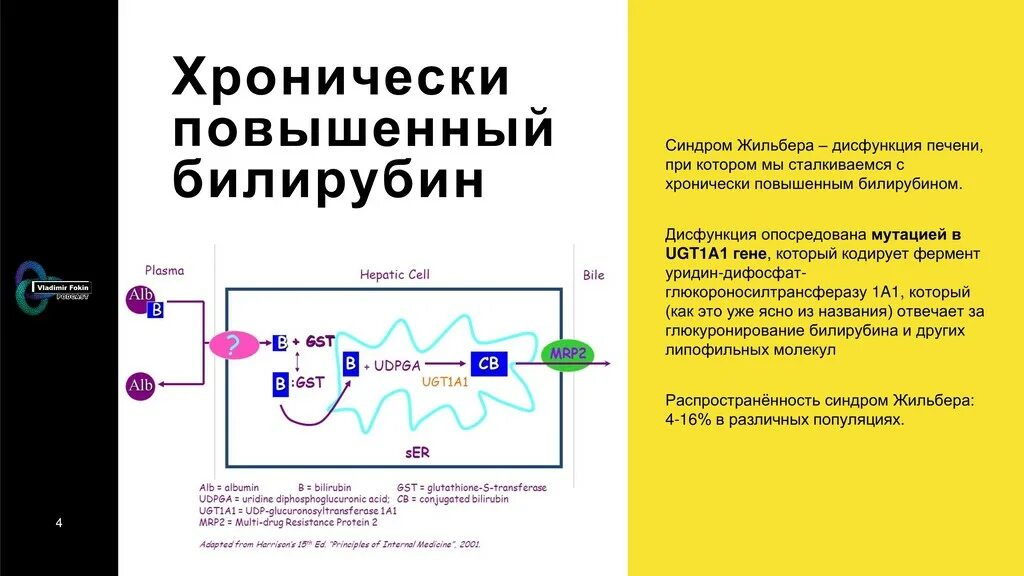 Генетический тест на жильбера. Повышенный билирубин синдром Жильбера. Высокий билирубин при синдроме Жильбера. Прямой и непрямой билирубин синдром Жильбера. Повышение билирубина при синдроме Жильбера.