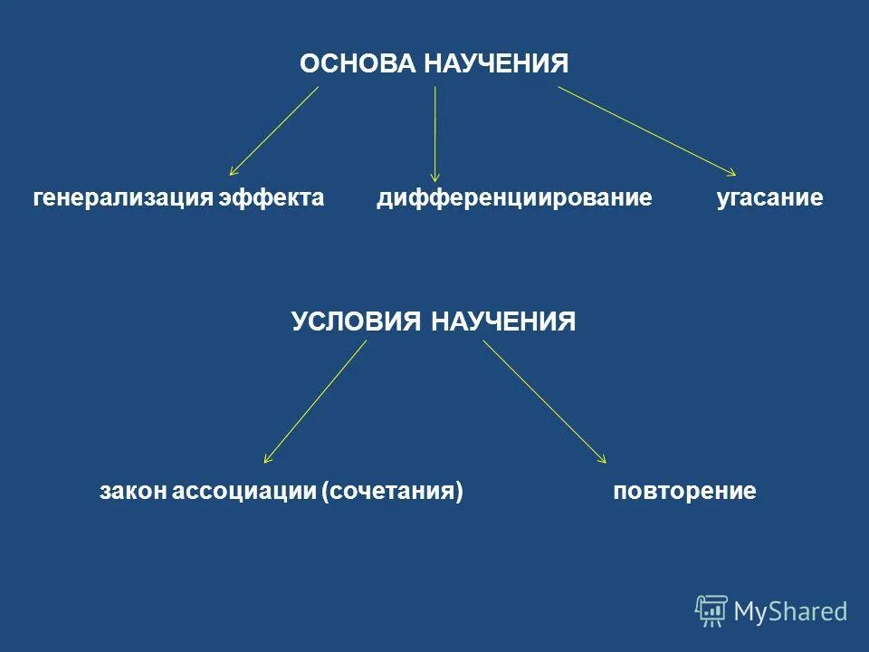 Условия научения. Виды научения. Классификация типов научения. Классификация «форма научения» у животных. Виды научения схема.