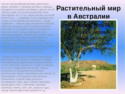Растения характерные для австралии